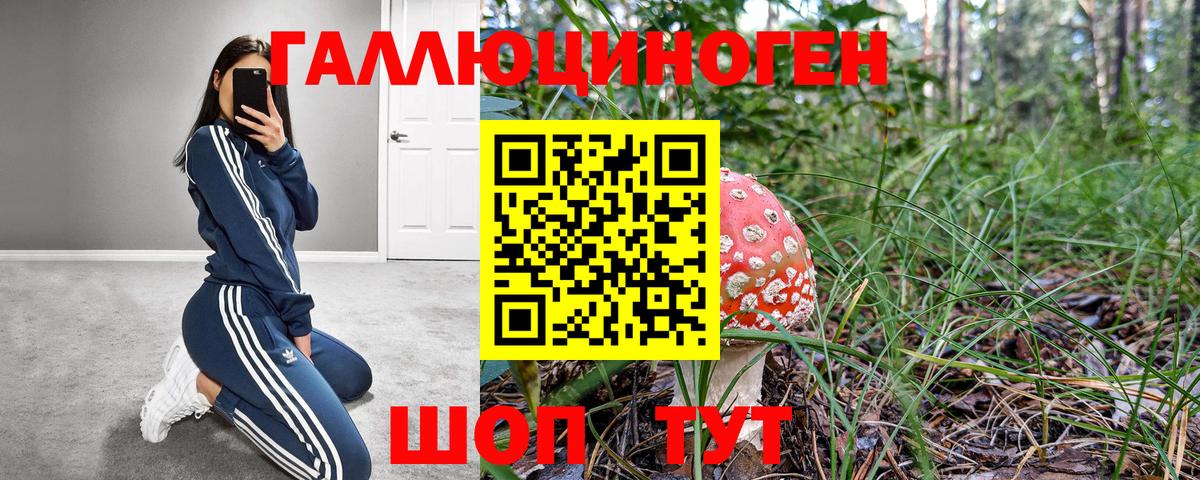 Псилоцибиновые грибы Psilocybine cubensis Джанкой